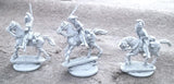 Baden Cavalry Regiment (12 Models)